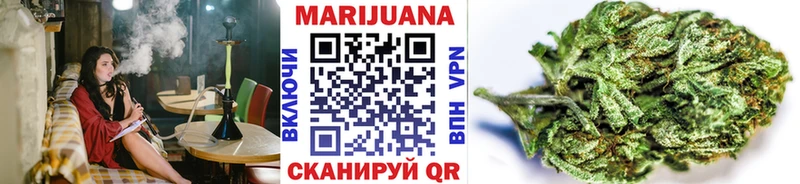 Купить где  Сычёвка  МАРИХУАНА ГИДРОПОН 